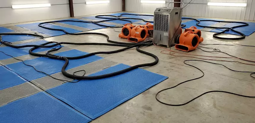 Large-Scale Water Cleanup in Ellenwood