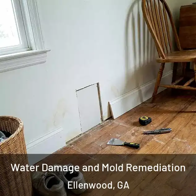  Water Damage and Mold Remediation Ellenwood, GA